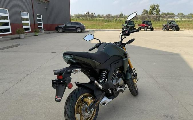 2025 Kawasaki Z125 PRO