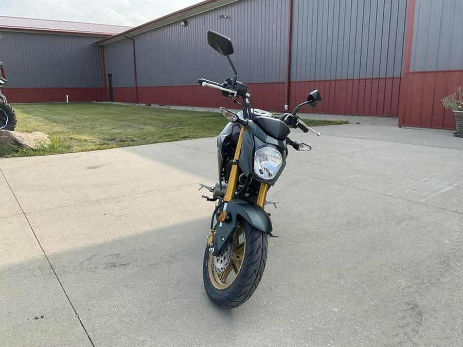 2025 Kawasaki Z125 PRO