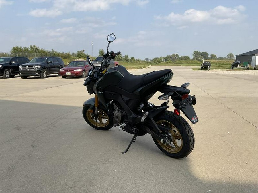 2025 Kawasaki Z125 PRO