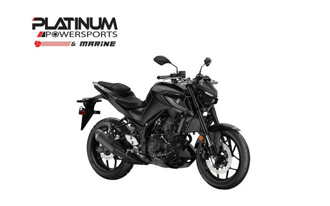 2024 Yamaha MT-03