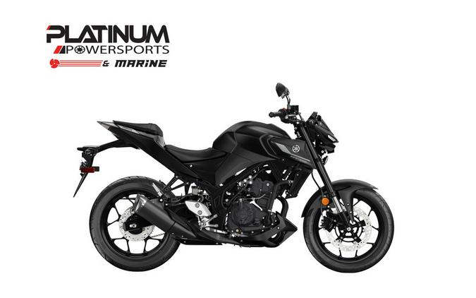 2024 Yamaha MT-03