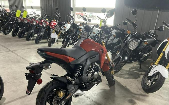 2025 Kawasaki Z125 PRO