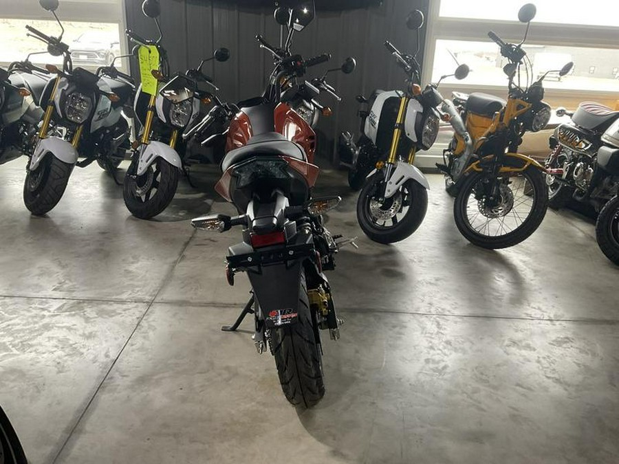 2025 Kawasaki Z125 PRO