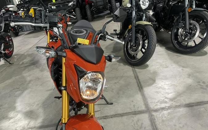 2025 Kawasaki Z125 PRO