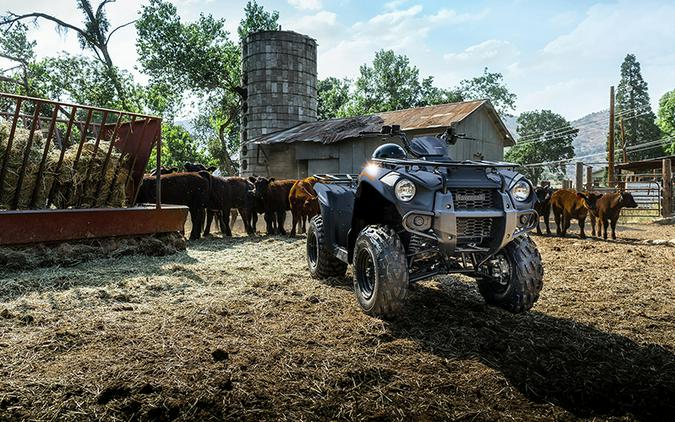 2024 Kawasaki Brute Force 300