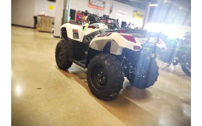 2025 Kawasaki Brute Force® 450 4x4