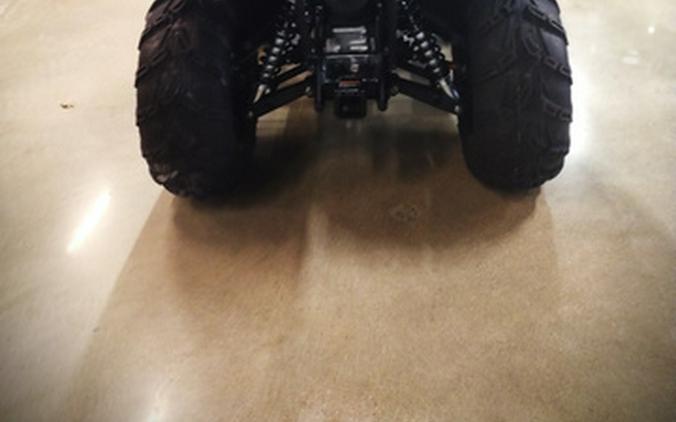 2025 Kawasaki Brute Force 450 4x4