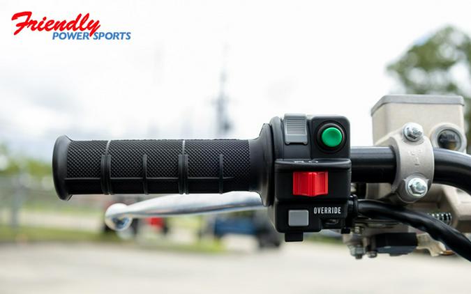 2025 Yamaha GRIZZLY EPS LTD