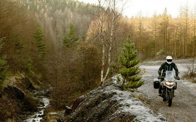 2020 Triumph Tiger 1200 Desert Edition Sandstorm