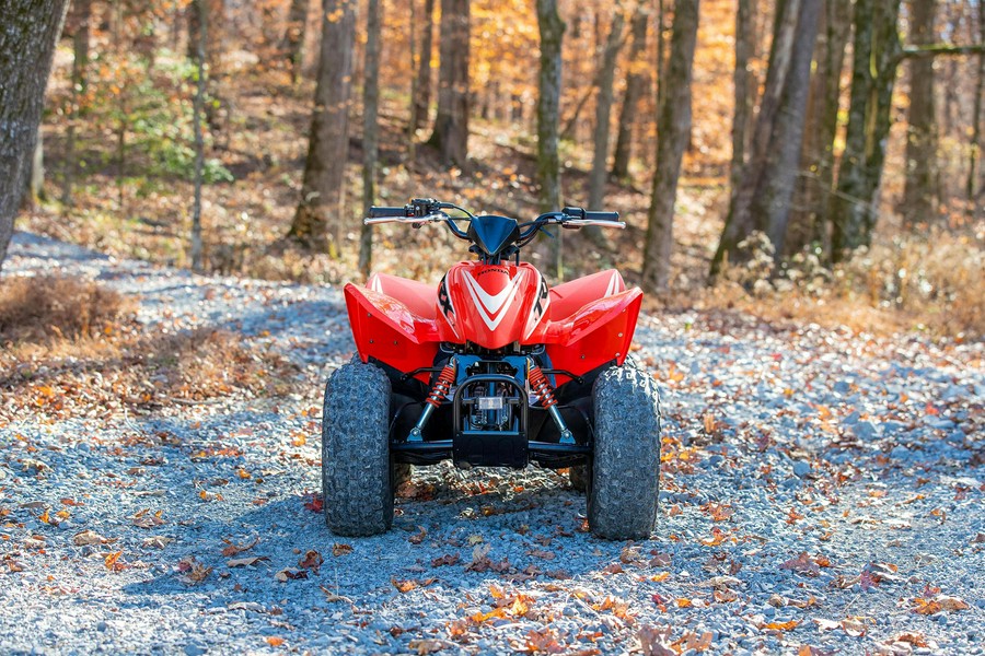 2026 Honda TRX90X