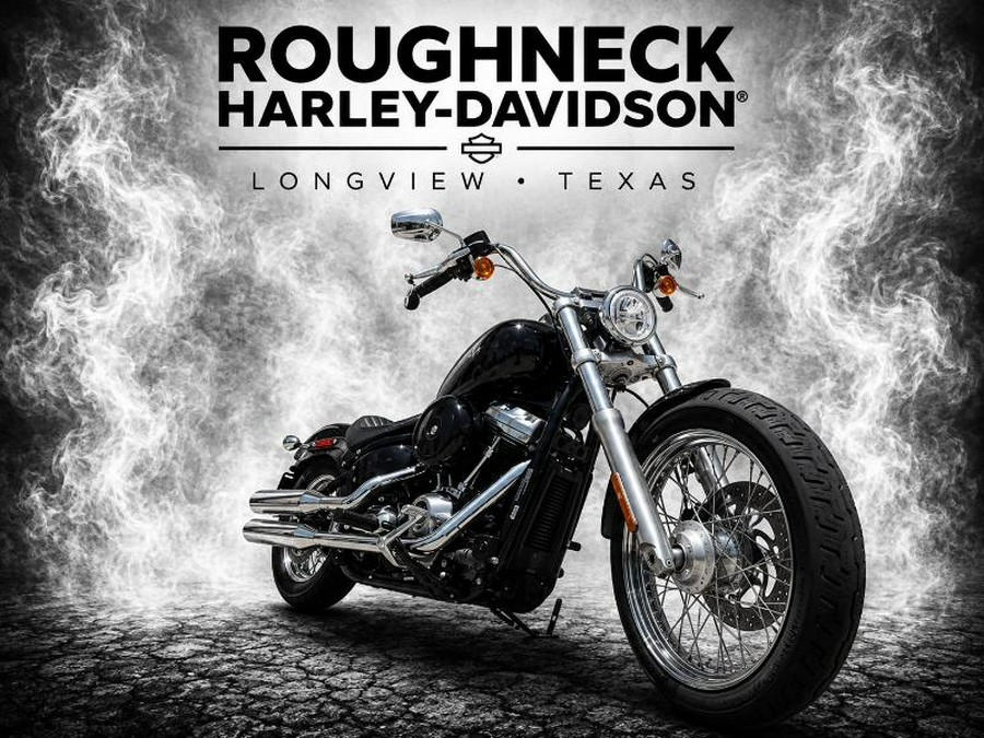 2021 Harley-Davidson SOFTAIL STANDARD
