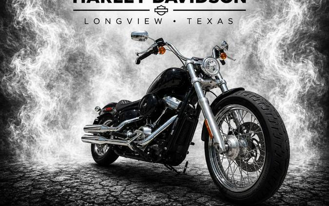 2021 Harley-Davidson SOFTAIL STANDARD