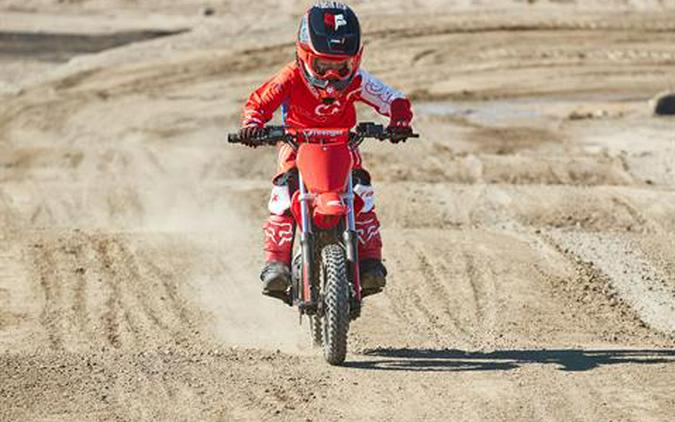 2021 Greenger Powersports CRF E-2