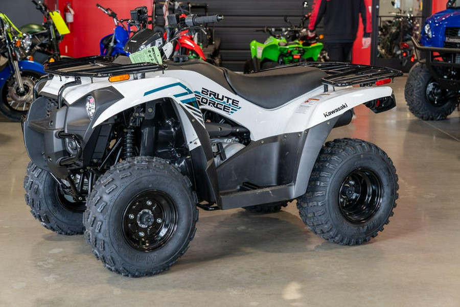 2023 Kawasaki Brute Force® 300