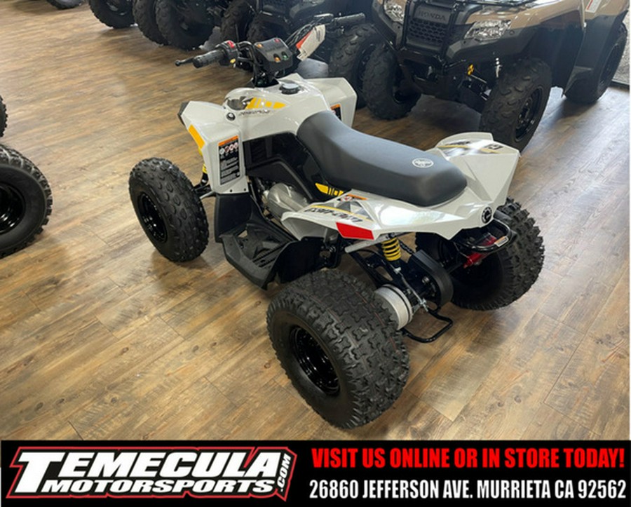 2026 Can-Am Renegade 110 EFI
