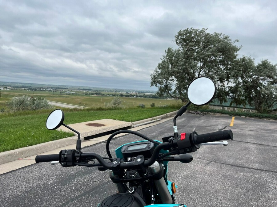 2023 Kawasaki KLX®230SM