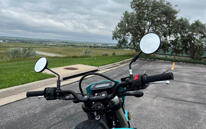 2023 Kawasaki KLX®230SM