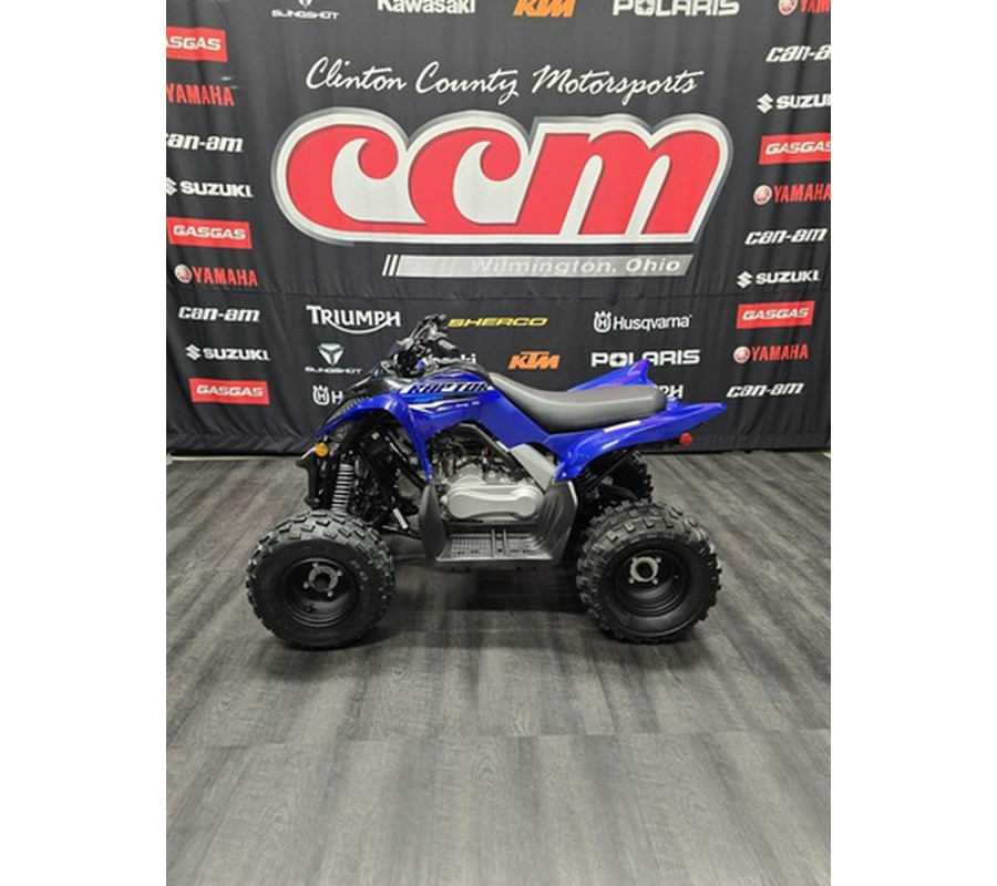 2026 Yamaha Raptor 110