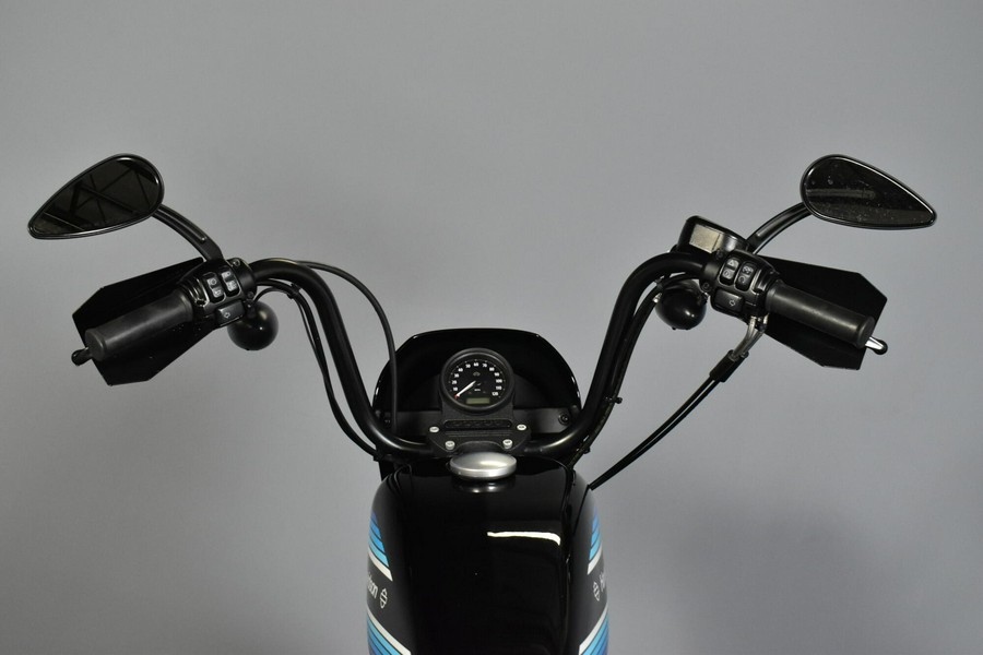 2019 Harley-Davidson Iron 1200 XL 1200NS