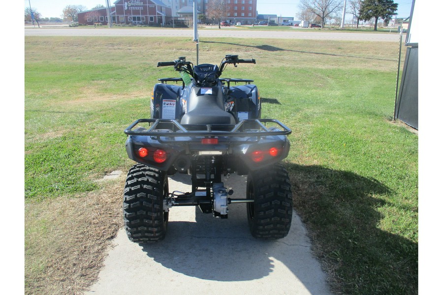 2024 Kawasaki BRUTE FORCE 300