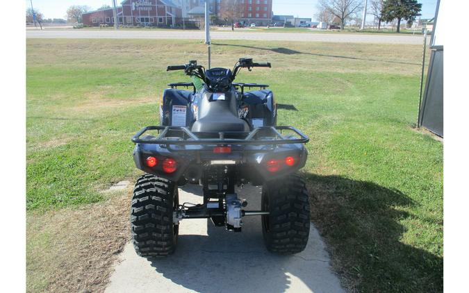 2024 Kawasaki BRUTE FORCE 300