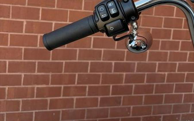 2023 Harley-Davidson® FXST - Softail® Standard
