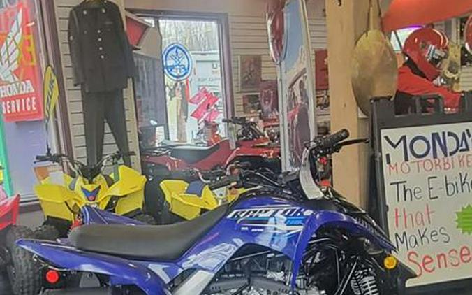 2026 Yamaha Raptor 110