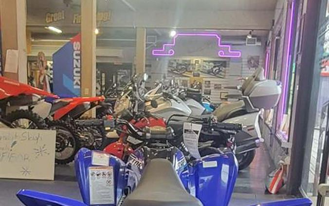 2026 Yamaha Raptor 110