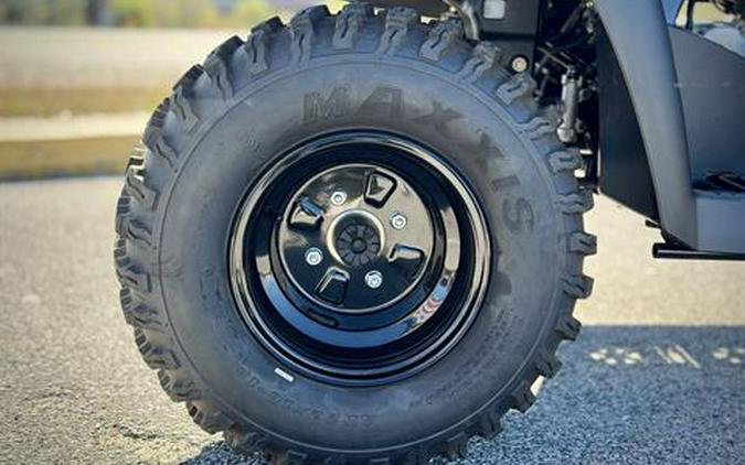 2025 Kawasaki Brute Force 300