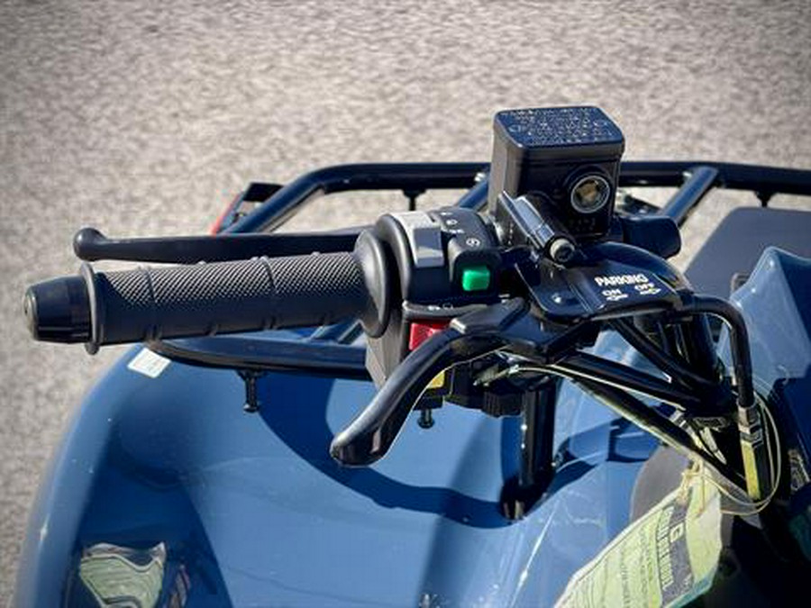 2025 Kawasaki Brute Force 300