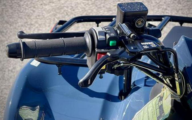 2025 Kawasaki Brute Force 300