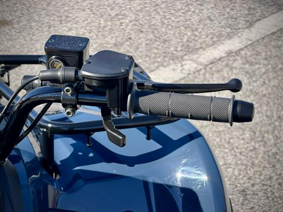 2025 Kawasaki Brute Force 300