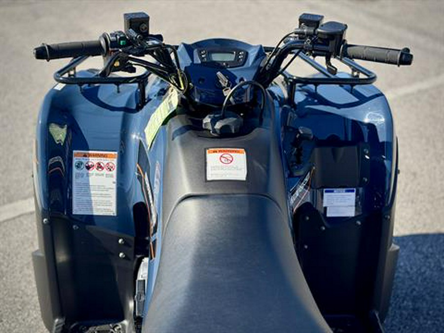 2025 Kawasaki Brute Force 300