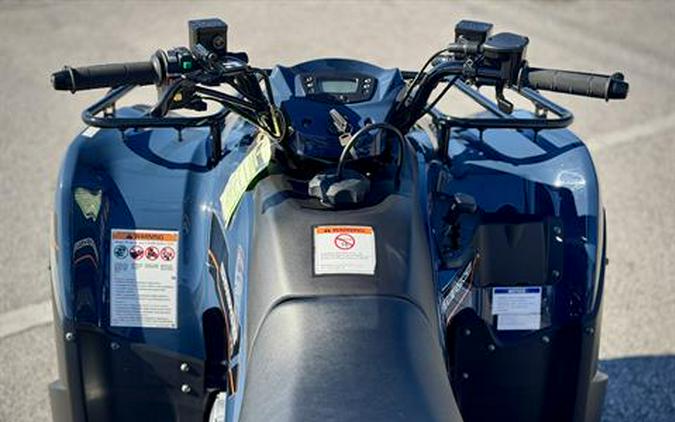 2025 Kawasaki Brute Force 300