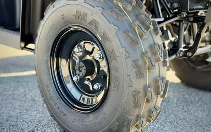 2025 Kawasaki Brute Force 300