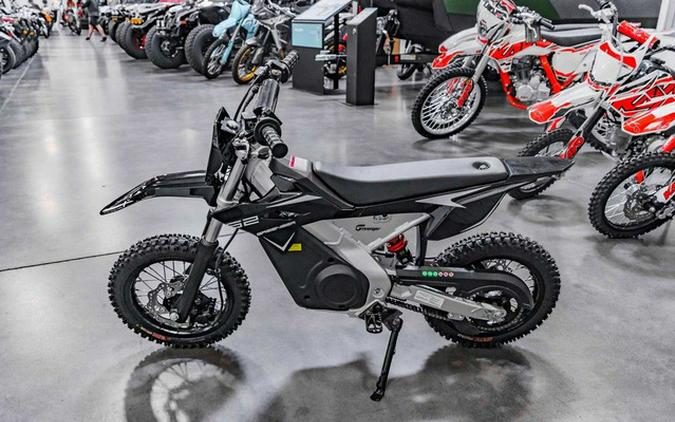 2025 GREENGER G2