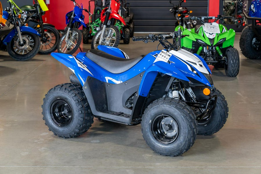 2023 Kawasaki KFX®90