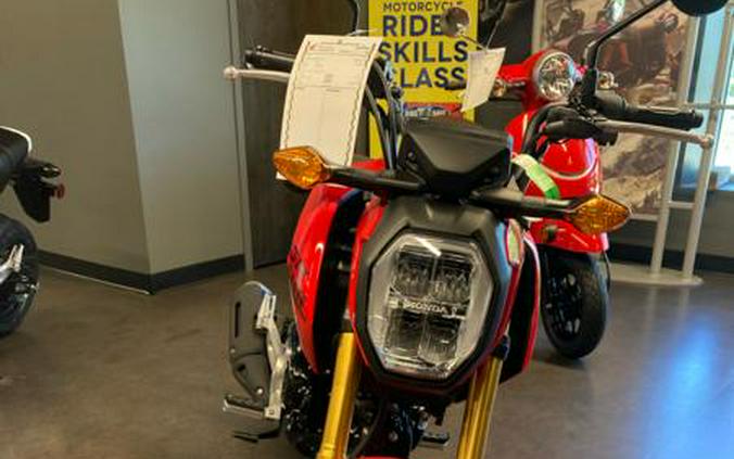 2025 Honda® Grom