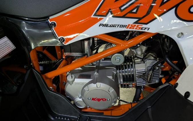 2026 Kayo Predator 125 EFI