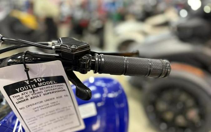 2026 Yamaha Raptor 110