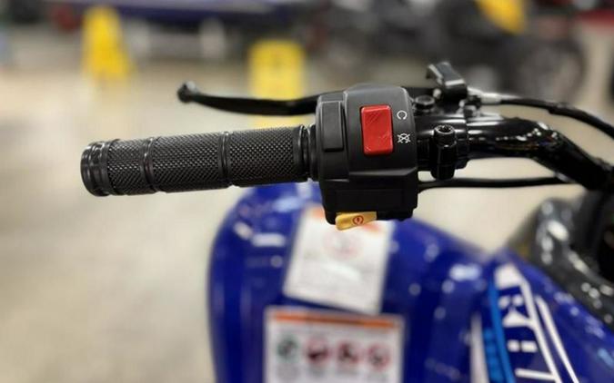 2026 Yamaha Raptor 110