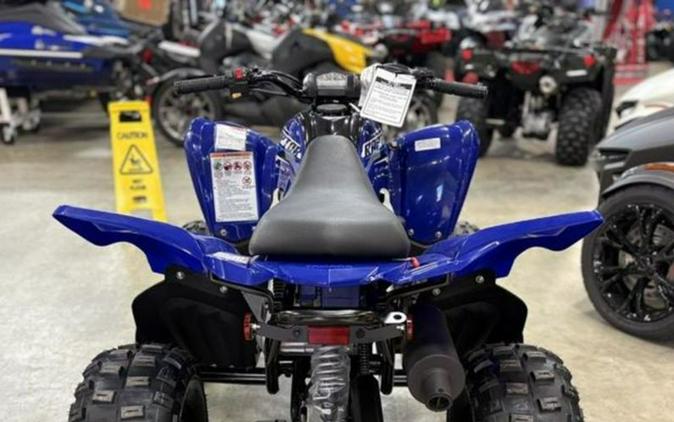 2026 Yamaha Raptor 110
