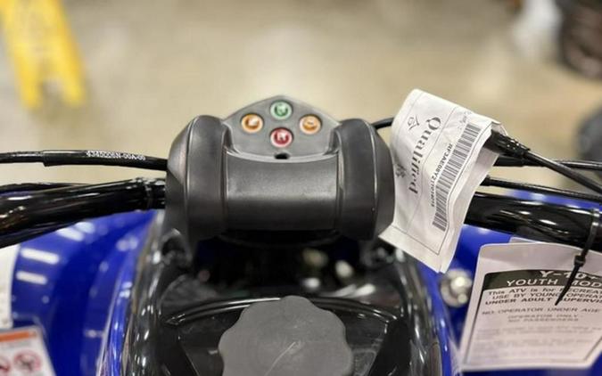 2026 Yamaha Raptor 110