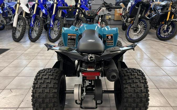 2026 Can-Am Renegade 110 EFI