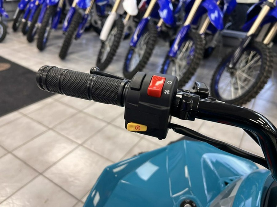 2026 Can-Am Renegade 110 EFI