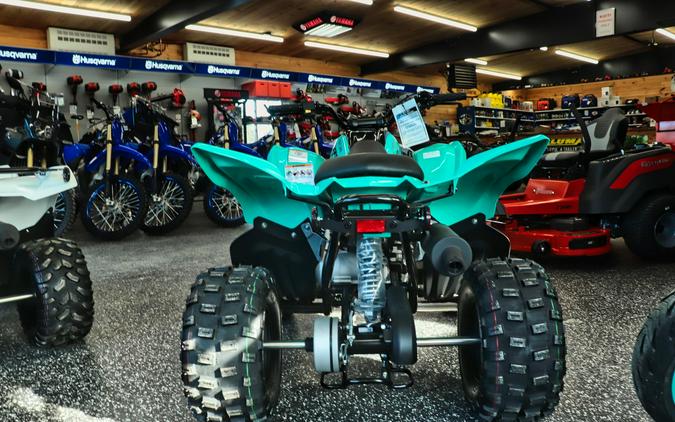 2024 Yamaha Raptor 110 - Teal