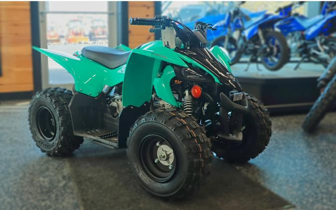 2024 Yamaha Raptor 110 - Teal