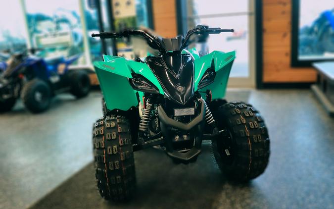 2024 Yamaha Raptor 110 - Teal