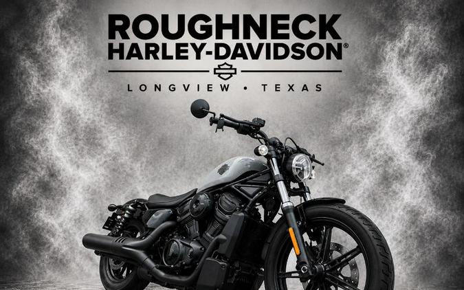 2025 Harley-Davidson NIGHTSTER
