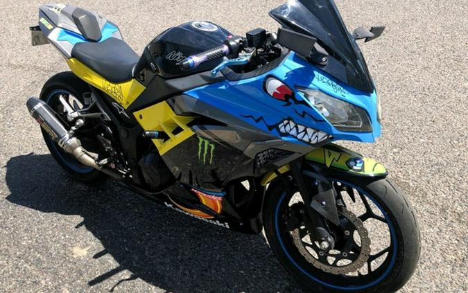 2014 Kawasaki Ninja 300 SE